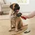 Ferplast Brosse à carder pour chiens à poil moyen et long GRO 5946 LARGE