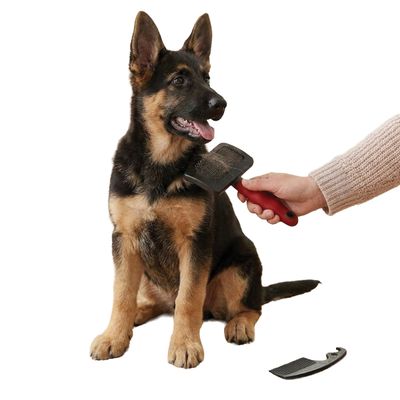Ferplast Brosse à carder pour chiens à poil moyen et long GRO 5946 LARGE