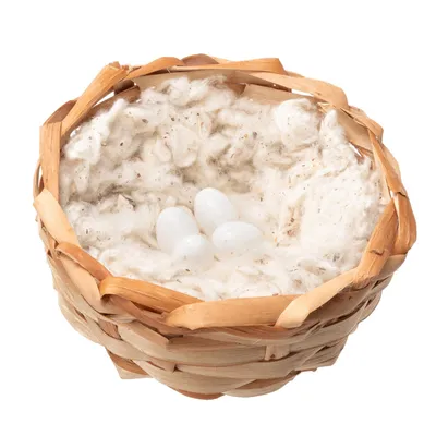 Ferplast Faux œufs en plastique pour nids d'oiseau Œufs FPI 4310