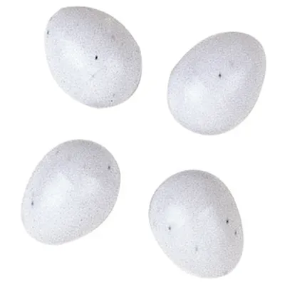 Ferplast Faux œufs en plastique pour nids d'oiseau Œufs FPI 4310 Ferplast Faux œufs en plastique pour nids d'oiseau Œufs FPI 4310