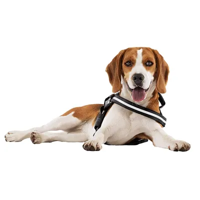 Ferplast Technisches Geschirr für Hunde mit Griff und HERCULES M