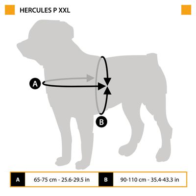 Ferplast Harnais technique pour chiens avec poignée et HERCULES P