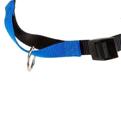 Ferplast Harnais de dressage pour chiens avec système COACH P