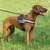 Ferplast Harnais technique pour chiens avec poignée et HERCULES M Ferplast Harnais technique pour chiens avec poignée et HERCULES M