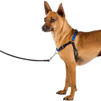 Ferplast Harnais de dressage pour chiens avec système COACH P