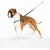 Ferplast Harnais de dressage pour chiens avec système COACH P