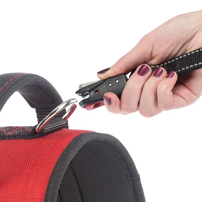 Ferplast Harnais technique pour chiens avec poignée et HERCULES P