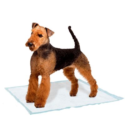Ferplast Tapis hygiénique pour chiens en matériau super GENICO MEDIUM
