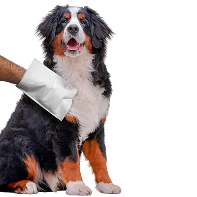 Ferplast Lingette nettoyante humide pour chiens et chats GENICO FRESH