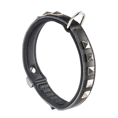 Ferplast Halsband aus schwarzem Naturleder mit Nieten und GIOTTO LUXOR