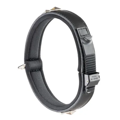 Ferplast Halsband aus schwarzem Naturleder mit Nieten und GIOTTO LUXOR