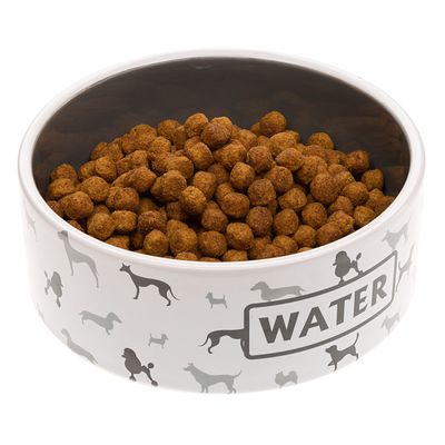 Ferplast Ecuelle en céramique pour chats et chiens. JUNO