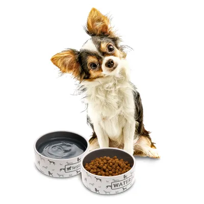 Ferplast Ecuelle en céramique pour chats et chiens. JUNO