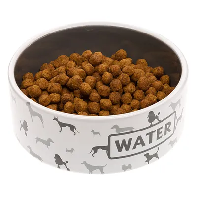 Ferplast Ecuelle en céramique pour chats et chiens. JUNO