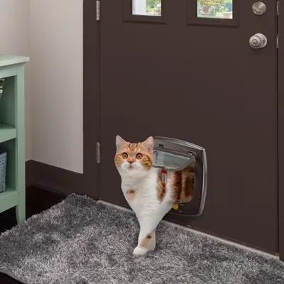 Ferplast Porte pour chat et petit chien Ferplast SWING 5 SWING 5