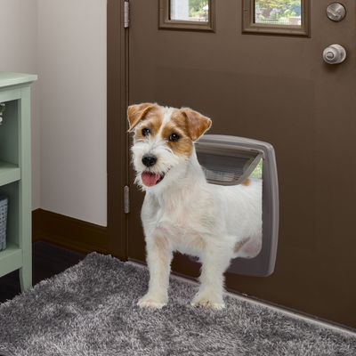 Ferplast Porte pour chien taille moyenne Ferplast SWING 11 SWING 11