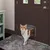 Ferplast Ferplast SWING 3 Katzen- und kleine Hunde Klappe SWING 3