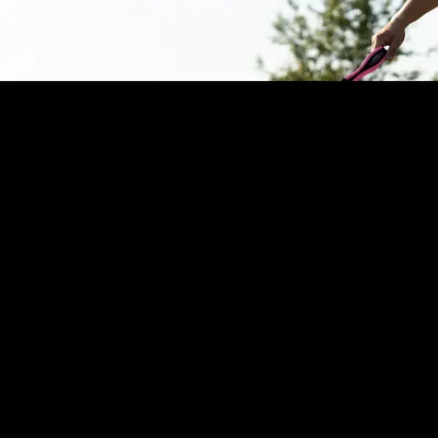 Ferplast Laisse courte pour chiens en nylon avec poignée ERGOFLUO GM