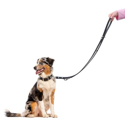 Ferplast Trainingsleine für Hunde aus Leder NATURAL GA