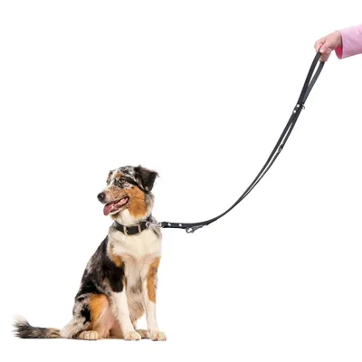 Ferplast Trainingsleine für Hunde aus Leder NATURAL GA Ferplast Trainingsleine für Hunde aus Leder NATURAL GA