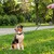 Ferplast Trainingsleine für Hunde aus Leder NATURAL GA Ferplast Trainingsleine für Hunde aus Leder NATURAL GA