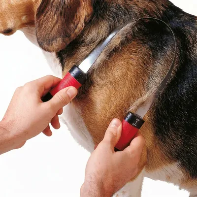 Ferplast Peigne étrille pour chiens à poils court avec GRO 5954 Ferplast Peigne étrille pour chiens à poils court avec GRO 5954
