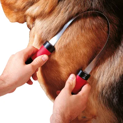 Ferplast Peigne étrille pour chiens à poils court avec GRO 5954