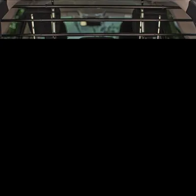 Ferplast Protection d'auto chiens avec connexion d’appui-tête