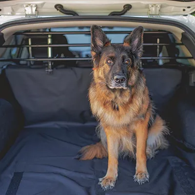 Ferplast Protection d'auto chiens avec connexion d’appui-tête