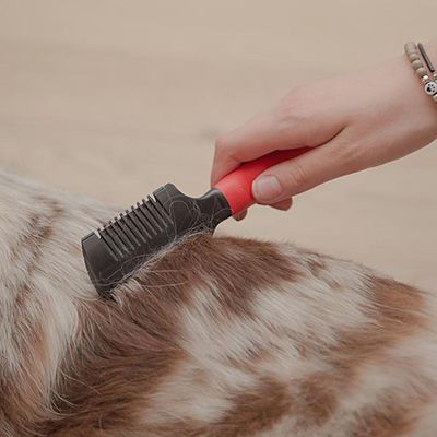 Ferplast Peigne et rasoir 2en1 pour chiens GRO 5991