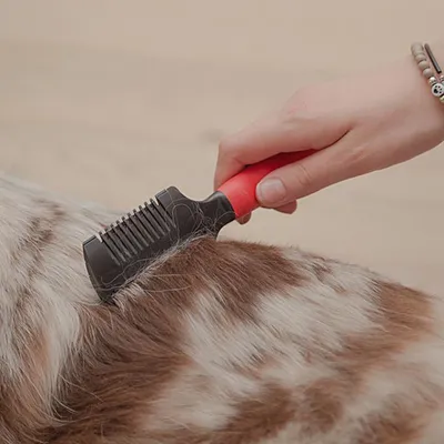Ferplast Peigne et rasoir 2en1 pour chiens GRO 5991