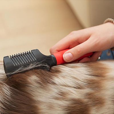 Ferplast Peigne et rasoir 2en1 pour chiens GRO 5991