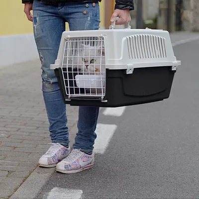 Ferplast Transport pour petits chiens et chats Ferplast ATLAS OPEN