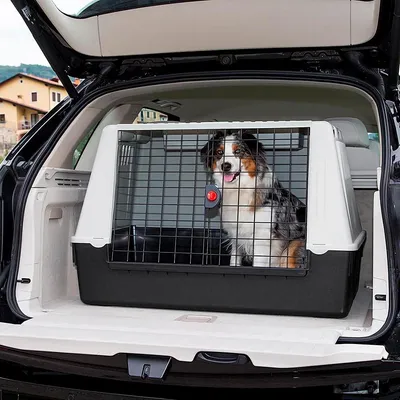 Ferplast Transport pour chiens pour des voyages en voiture. ATLAS CAR