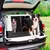 Ferplast Transport pour chiens pour des voyages en voiture. ATLAS CAR