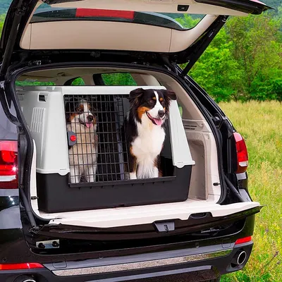 Ferplast Transport pour chiens pour des voyages en voiture. ATLAS CAR