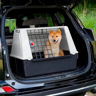 Ferplast Transport pour chiens pour des voyages en voiture. ATLAS CAR