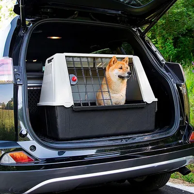 Ferplast Transport pour chiens pour des voyages en voiture. ATLAS CAR