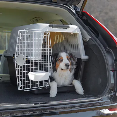 Ferplast Panier de transport pour chiens de taille moyenne ATLAS 50-60