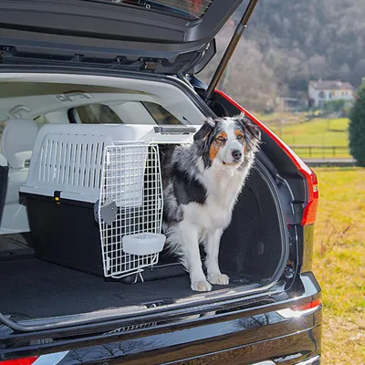 Ferplast Panier de transport pour chiens de taille moyenne ATLAS 50-60