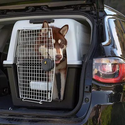 Ferplast Panier de transport pour chiens de taille grande. ATLAS 50-60