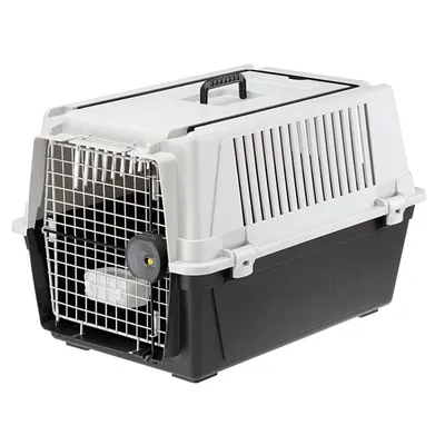 Ferplast Transport pour chiens de taille moyenne ATLAS 40