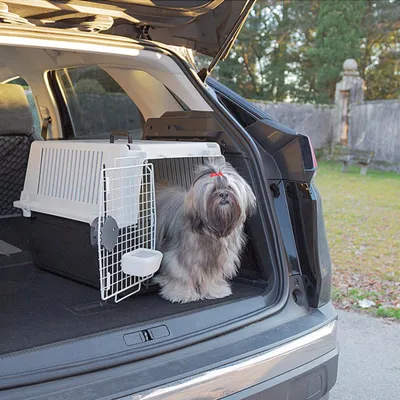 Ferplast Transport pour chiens de taille moyenne ATLAS 40