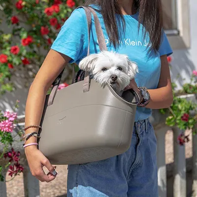 Ferplast Sac avec filet de protection pour le transport de WITH ME PRO