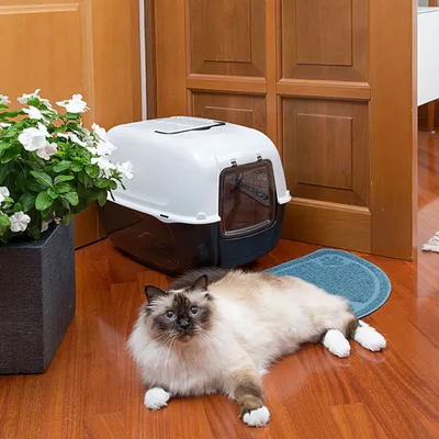 Ferplast Tapis pour chats CAT DOOR MAT