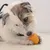 Ferplast Jouet pour chien Ferplast Crazy Bell, petite CRAZY BELL