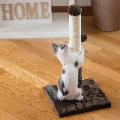 Ferplast Griffoir pour chats avec boule pendentif Arbre à chats