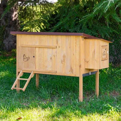 Ferplast Poulailler en pin nordique FSC HEN HOUSE 30