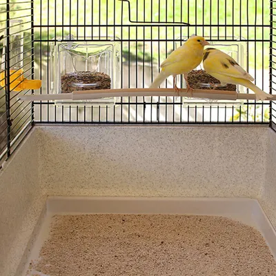 Ferplast Cage à oiseaux avec séparateur Canto 71x38x60,5 cm 52501217