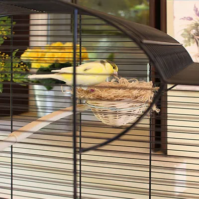 Ferplast Cage à oiseaux avec séparateur Canto 71x38x60,5 cm 52501217